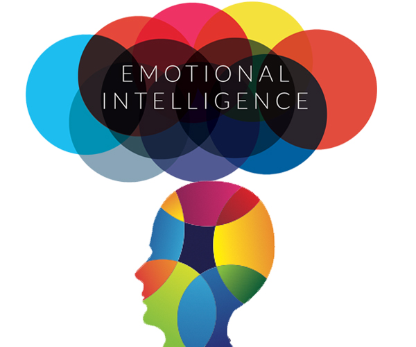 Strengthening Emotional Intelligence Civic Reinventions